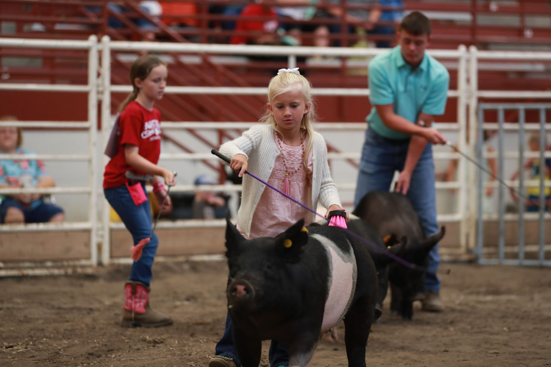 071119_HallCoFair03_bjs.JPG
